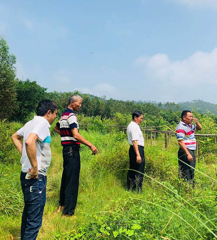 首页 | J9集团有限公司官网