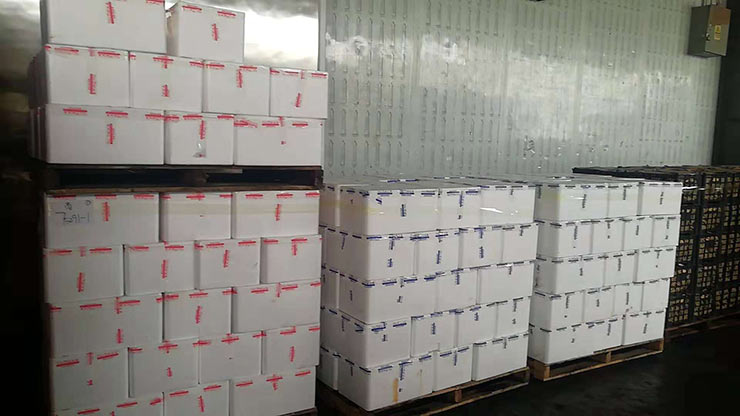 首页 | J9集团有限公司官网