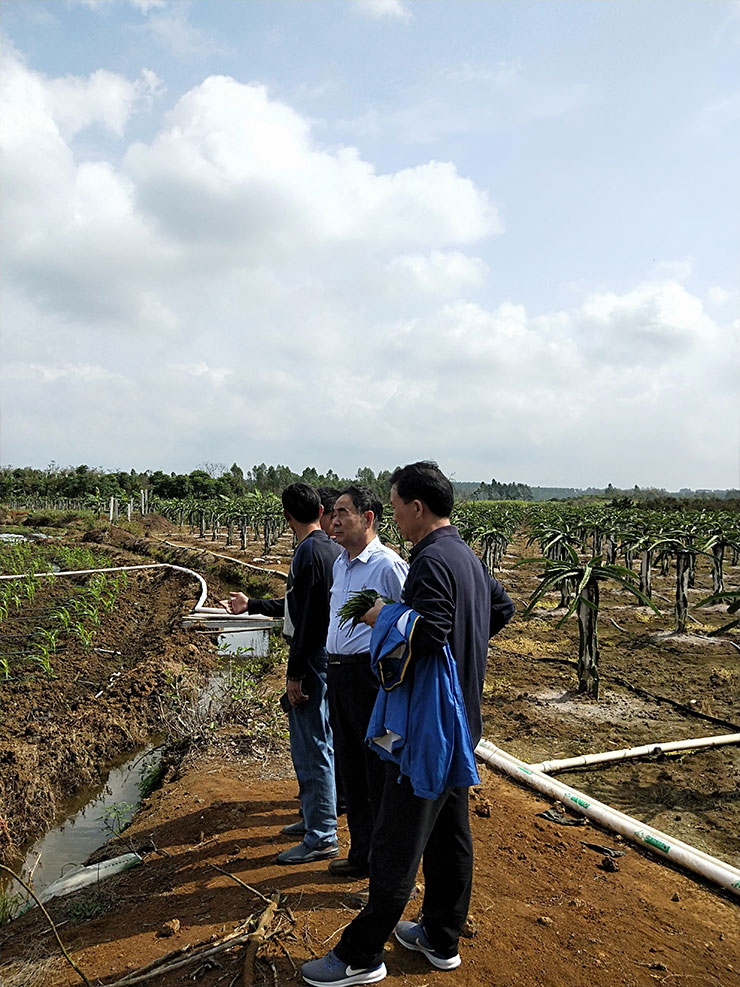 首页 | J9集团有限公司官网