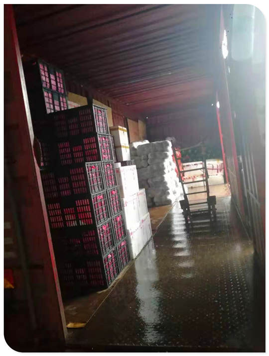 首页 | J9集团有限公司官网