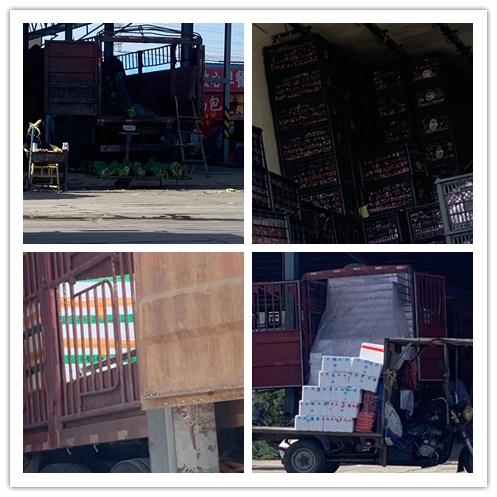 首页 | J9集团有限公司官网