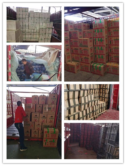 首页 | J9集团有限公司官网