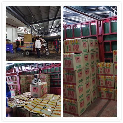 首页 | J9集团有限公司官网