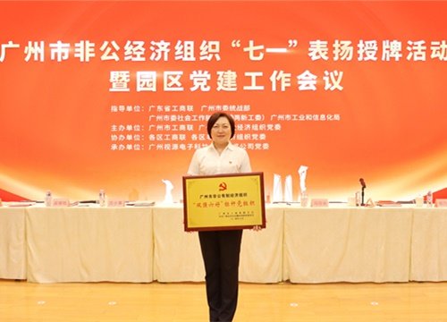 标杆引领，荣誉升级！集团党支部荣膺广州市非公有造经济组织“双强六好”标